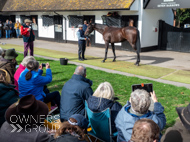 NH051025-46 - Thewoodcorner